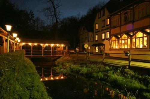 Waldhotel Pfarrmuehle Eisenberg  Exterior foto