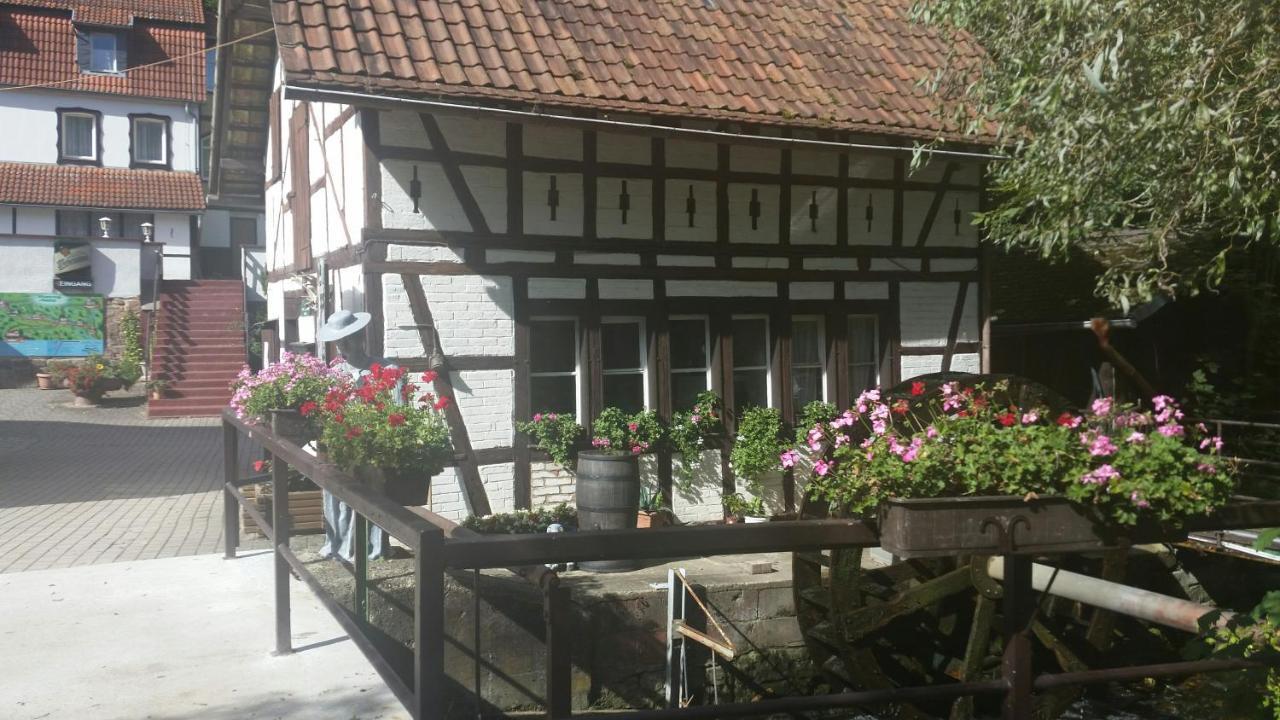 Waldhotel Pfarrmuehle Eisenberg  Exterior foto
